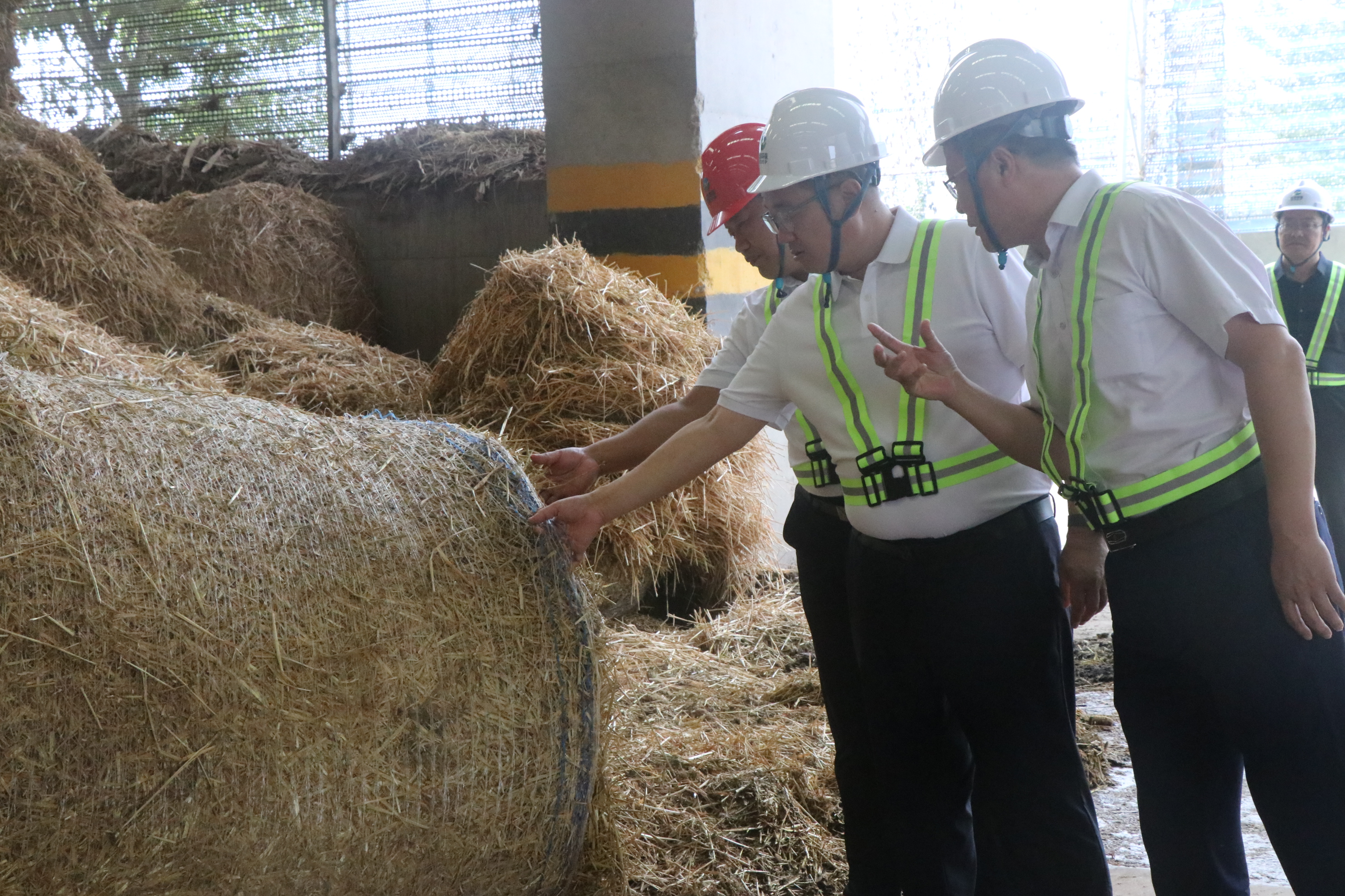 1723717031403.jpg 曹炳濤2.jpg